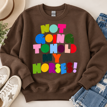 Not Gonna Hold My Horses sweatshirt - brown